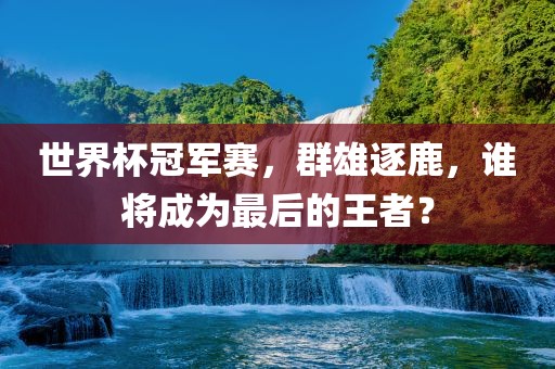 世界杯冠军赛，群雄逐鹿，谁将成为最后的王者？眉山市正发家政服务有限公司