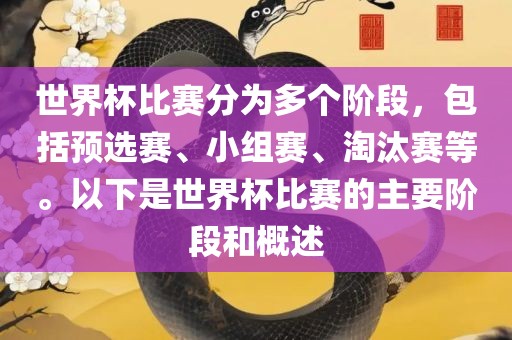 世界杯比赛分为多个阶段，包括预选赛、小组赛、淘汰赛等。以下是世界杯比赛的主要阶段和概述
