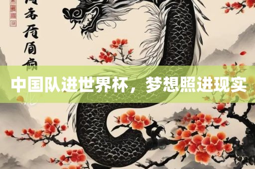 中国队进世界杯，梦想照进现实眉山市正发家政服务有限公司