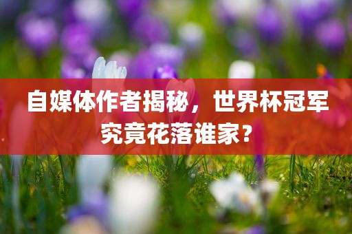 眉山市正发家政服务有限公司自媒体作者揭秘，世界杯冠军究竟花落谁家？