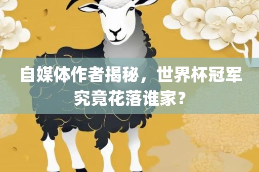 世界杯冠军 第6页