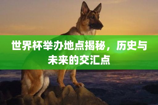 世界杯举办地点揭秘，历史与未来的交汇点