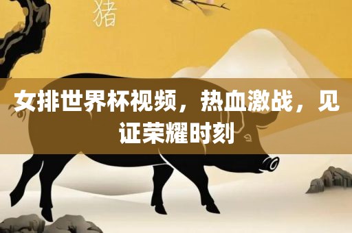 女排世界杯视频，热血激战，见证荣耀时刻