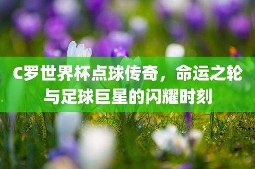 C罗世界杯点球传奇，命运之轮与足球巨星的闪耀时刻