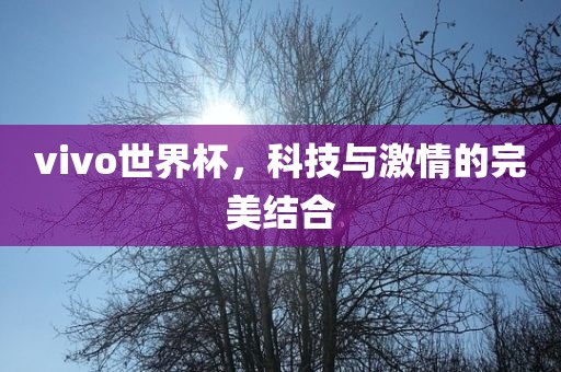 vivo世界杯，科技与激情的完美结合