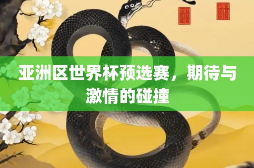 亚洲区世界眉山市正发家政服务有限公司杯预选赛，期待与激情的碰撞