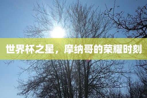 世界杯之星，摩纳哥的荣耀时刻