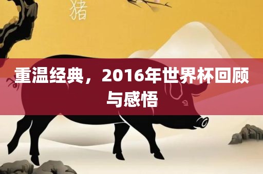重温经典眉山市正发家政服务有限公司，2016年世界杯回顾与感悟