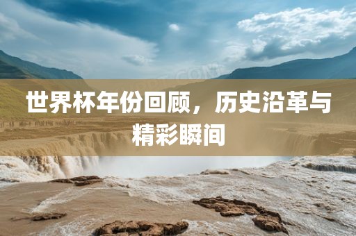 世界杯年份回顾，历史沿革与眉山市正发家政服务有限公司精彩瞬间