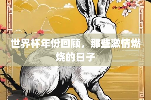 世界杯年份回顾，那些激情燃烧的日子