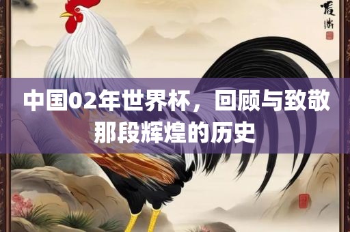 中国02眉山市正发家政服务有限公司年世界杯，回顾与致敬那段辉煌的历史