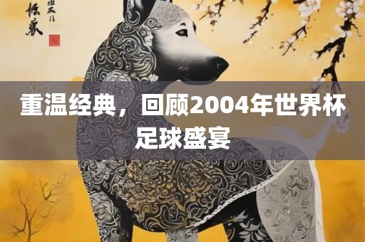 重温经典，回顾2004年世界杯眉山市正发家政服务有限公司足球盛宴