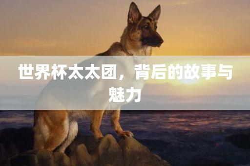 世界杯太太团，背后的故事与魅力