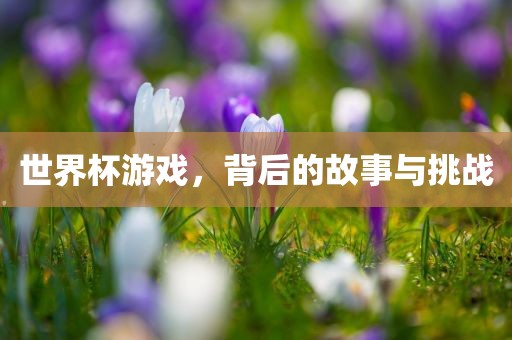 世界杯游戏，背后的故事与挑战