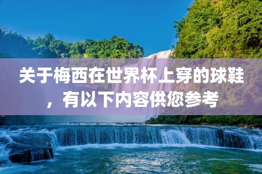 关于梅西在世界杯上穿的球鞋，有以下内容供您参考