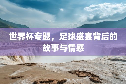 世界杯专题，足球盛宴眉山市正发家政服务有限公司背后的故事与情感