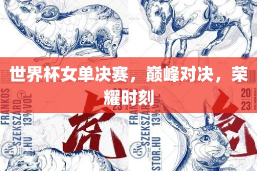世界杯女单决赛，巅峰对决，荣耀时刻