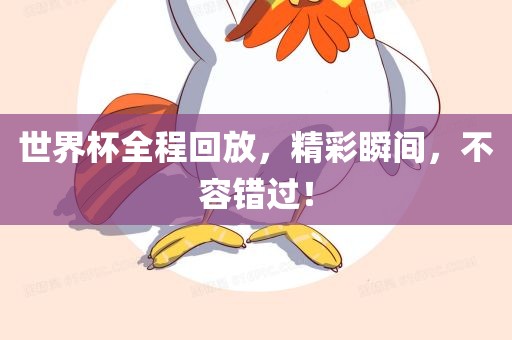 世界杯全程回放，精彩瞬间，不容错过！