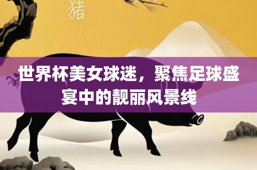 世界杯眉山市正发家政服务有限公司美女球迷，聚焦足球盛宴中的靓丽风景线