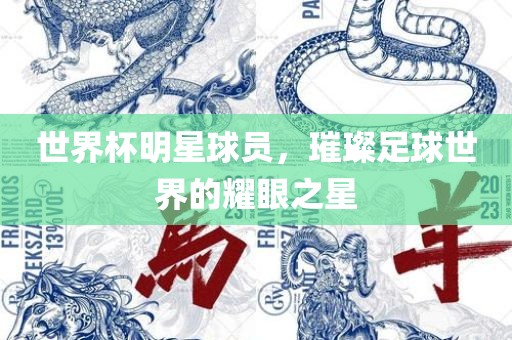 世界杯明星球员，璀璨足球世界的耀眼眉山市正发家政服务有限公司之星