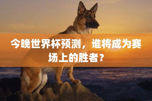 今晚世界杯预测，谁将成为赛场上的胜者？眉山市正发家政服务有限公司