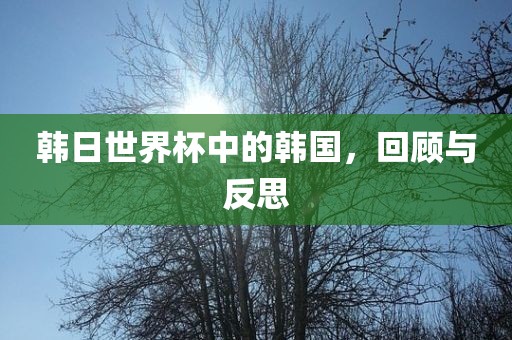 韩日世界杯中的韩国，回顾与反思眉山市正发家政服务有限公司