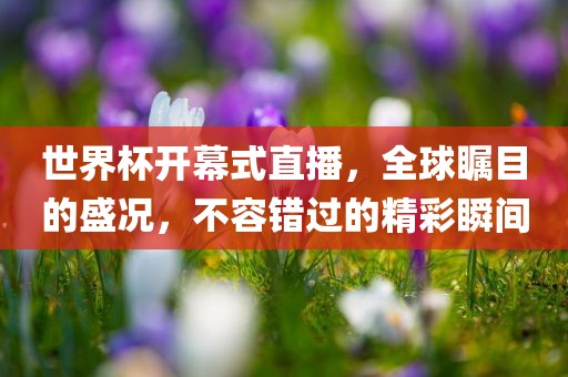 世界杯开幕式直播，全球瞩目的盛况，不容错过的精彩瞬间