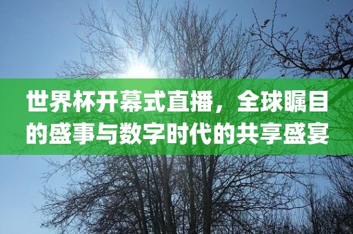 世界杯开幕式直播，全球瞩目的盛事与数字时代的共享盛宴