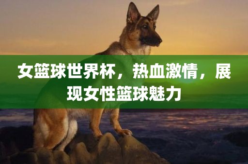 女篮球世界杯，热血激情，展现女性篮球魅力眉山市正发家政服务有限公司