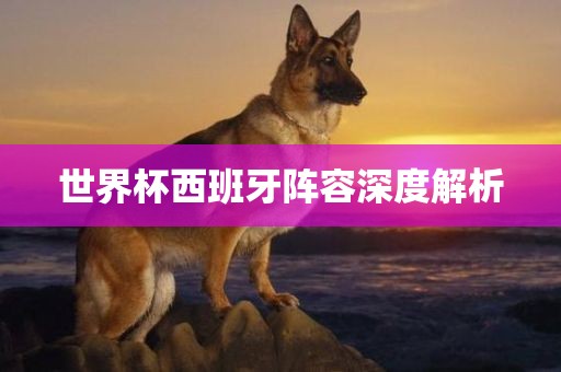 世界杯西班牙阵容深度解析