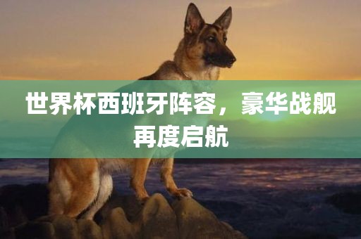 世界杯西班牙阵容，豪华战舰再度启航