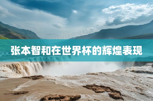 张本智和在世界杯的辉煌表现