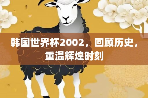 韩国世界杯2眉山市正发家政服务有限公司002，回顾历史，重温辉煌时刻