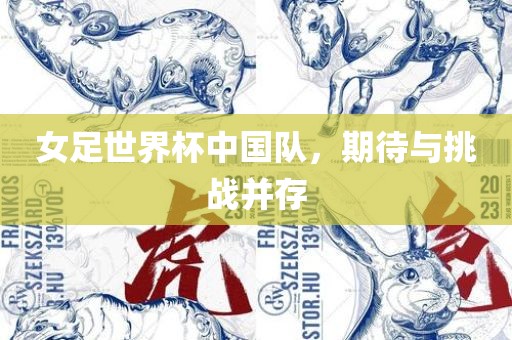 女足世界杯中国队，期待与挑战并存眉山市正发家政服务有限公司
