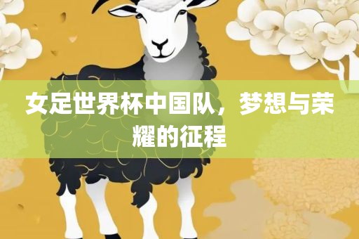 女足世界杯中国队，梦想与荣耀的征程