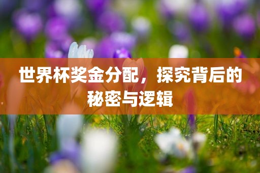 世界杯奖金分配，探究背后的秘密与逻辑