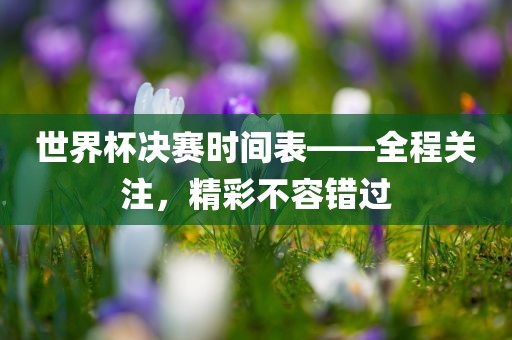 世界杯决赛时间表——全程关注，精彩不容错过