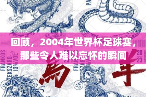 回顾，2004年世界杯足球赛，那些令人难以忘怀的瞬间
