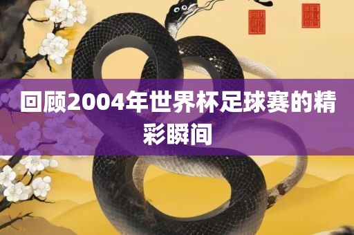 回顾2004年世界杯足球赛的精彩瞬间眉山市正发家政服务有限公司