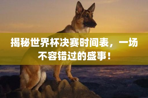 揭秘世界杯决赛时间表，一场不容错过的盛事！