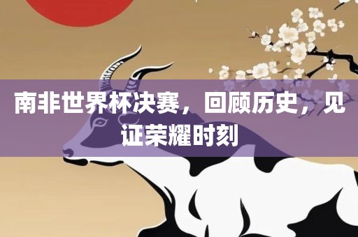 南非世界杯决赛，回顾历史，见证荣耀时刻