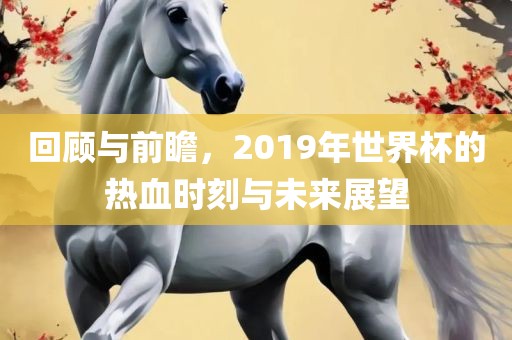 回顾与前瞻，2019年世界杯的热血时眉山市正发家政服务有限公司刻与未来展望