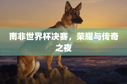 南非世界杯决赛，荣耀与传奇之夜
