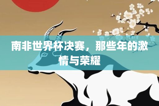 南非世界杯决赛，那些年的激情与荣耀