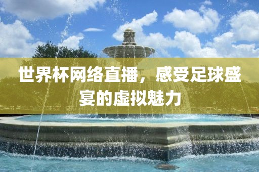 世界杯网络直播，感受足球盛宴的虚拟魅力眉山市正发家政服务有限公司
