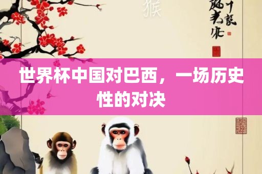 世界杯中国对巴西，眉山市正发家政服务有限公司一场历史性的对决