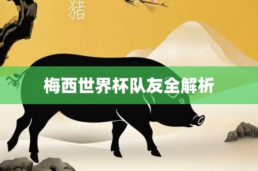 梅西世界杯队友全解析