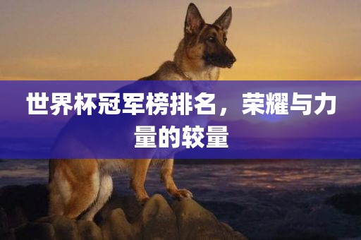 世界杯冠军榜排名，荣耀与力量的较量