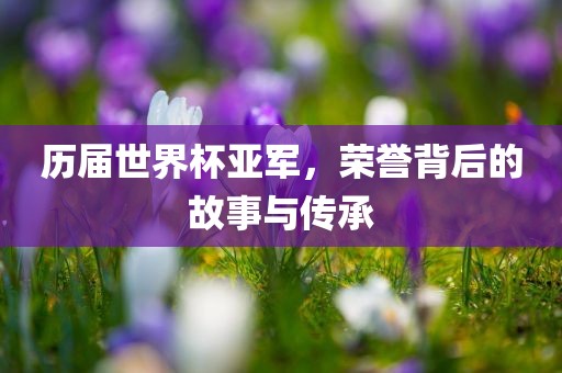 历届世界杯亚军，荣誉背后的故事与传承