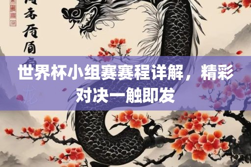 世界杯小组赛赛程详解，精彩对决一触即发眉山市正发家政服务有限公司